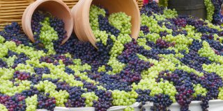 Festa dell’uva e del vino di Bardolino