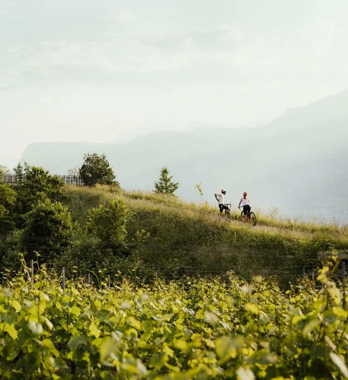 Discover hotels South Tyrol & hotels at Lake Garda