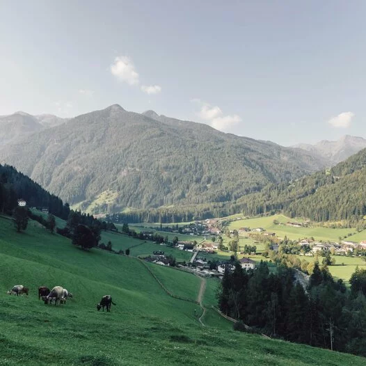 Hotels South Tyrol :: Exclusive, natural & charming